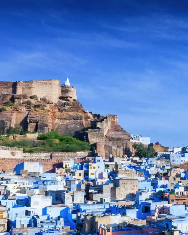 Rajasthan Wildlife Tour