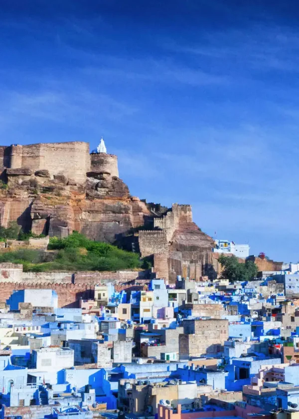 Rajasthan Wildlife Tour