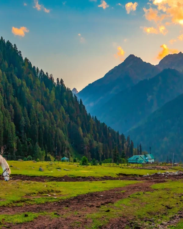 Kashmir Itinerary 5 Nights 6 Days