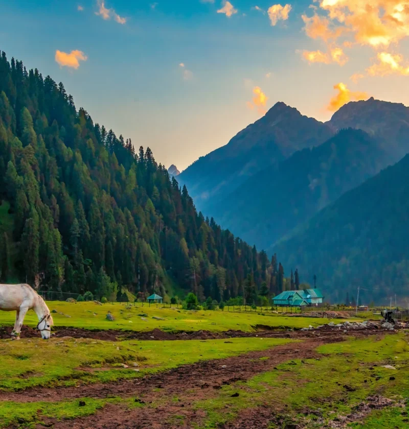 Kashmir Itinerary 5 Nights 6 Days
